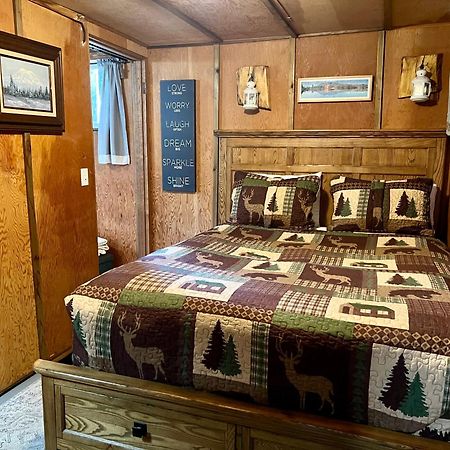 Mt Rainier Little Green Cabin On Big Creek! Ashford Extérieur photo