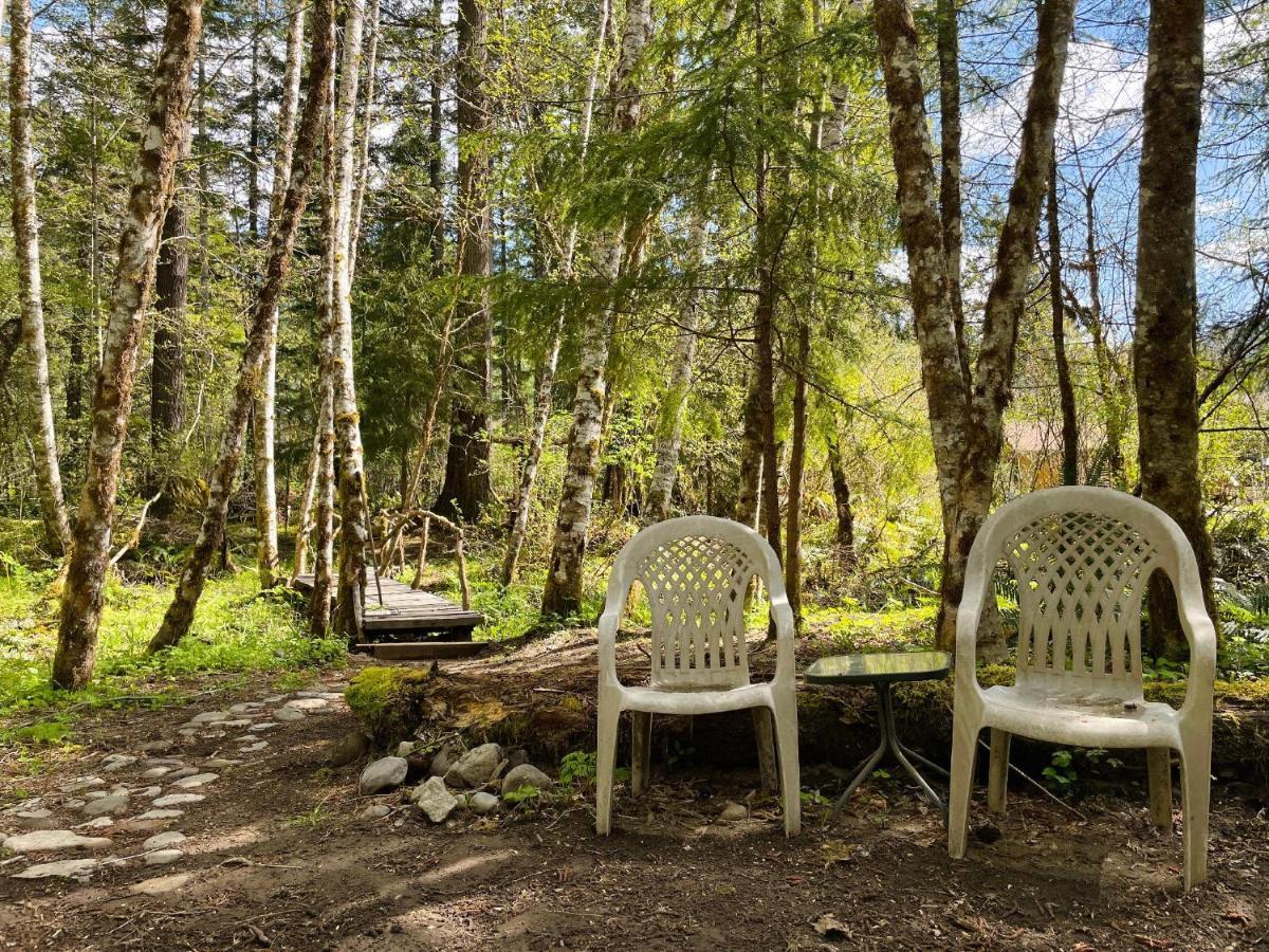 Mt Rainier Little Green Cabin On Big Creek! Ashford Extérieur photo