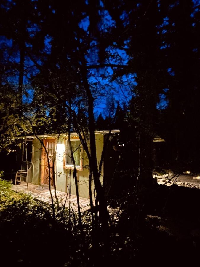 Mt Rainier Little Green Cabin On Big Creek! Ashford Extérieur photo