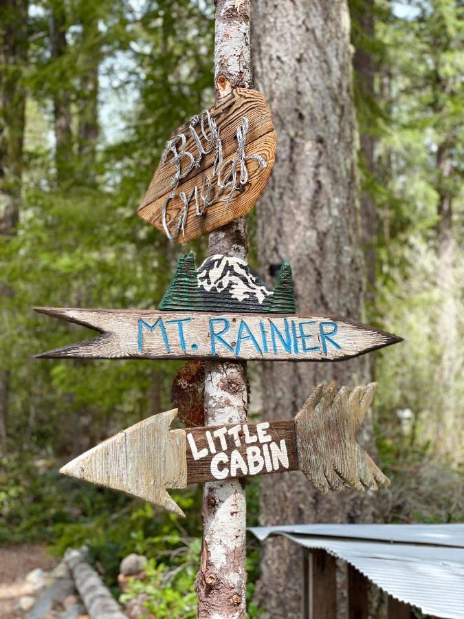 Mt Rainier Little Green Cabin On Big Creek! Ashford Extérieur photo