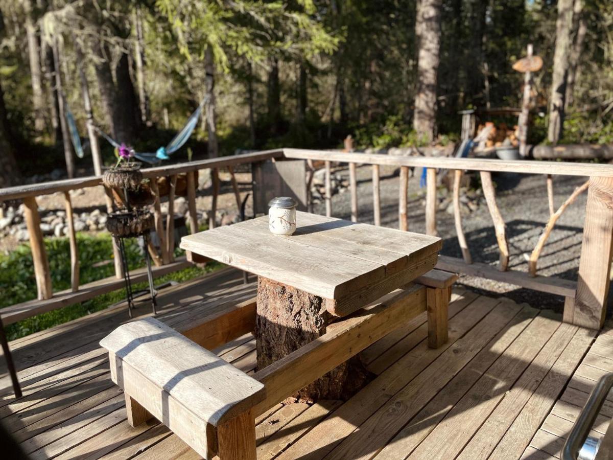 Mt Rainier Little Green Cabin On Big Creek! Ashford Extérieur photo