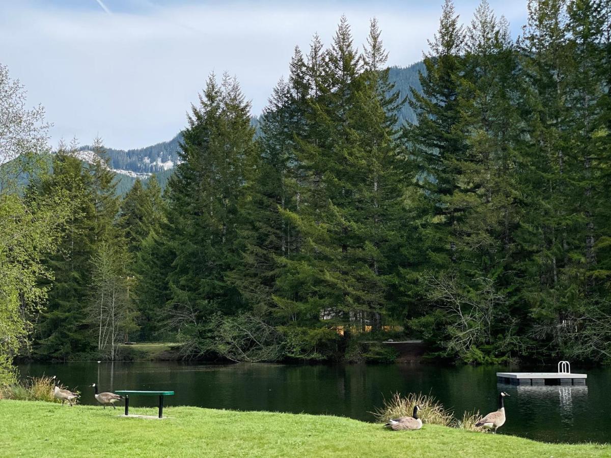 Mt Rainier Little Green Cabin On Big Creek! Ashford Extérieur photo