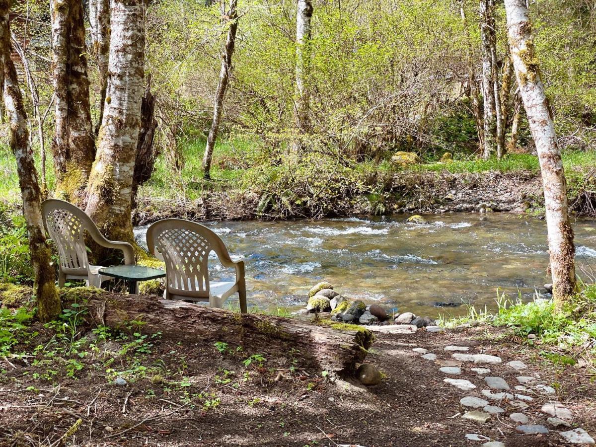 Mt Rainier Little Green Cabin On Big Creek! Ashford Extérieur photo