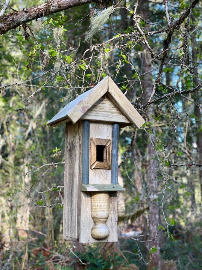 Mt Rainier Little Green Cabin On Big Creek! Ashford Extérieur photo