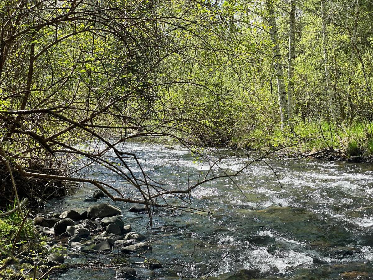 Mt Rainier Little Green Cabin On Big Creek! Ashford Extérieur photo