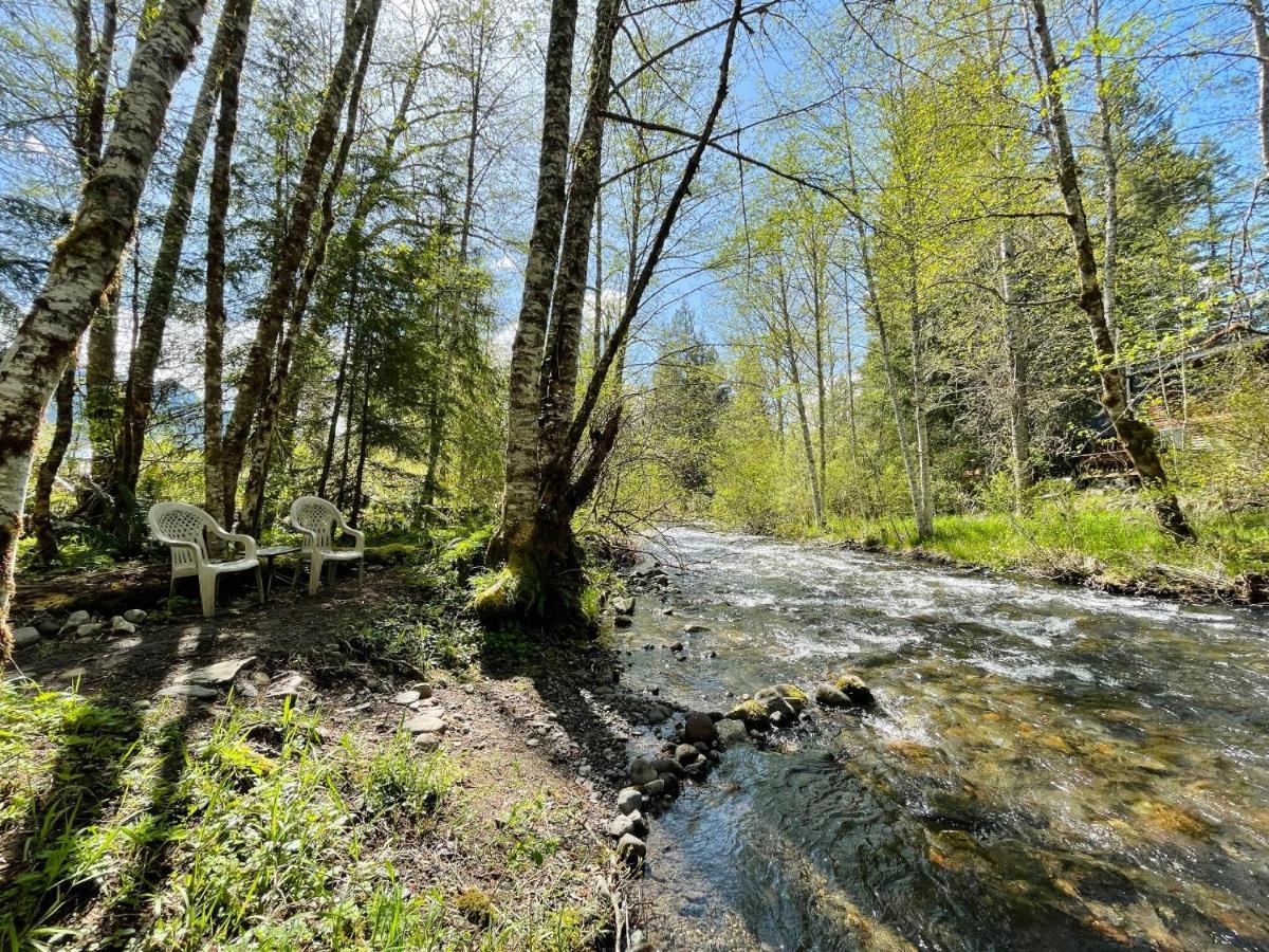 Mt Rainier Little Green Cabin On Big Creek! Ashford Extérieur photo