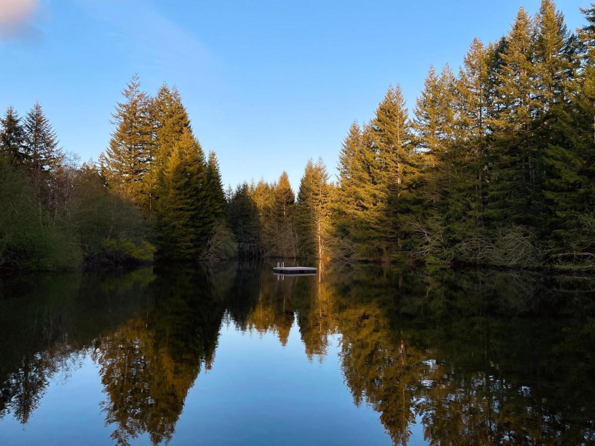 Mt Rainier Little Green Cabin On Big Creek! Ashford Extérieur photo