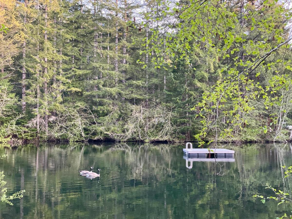 Mt Rainier Little Green Cabin On Big Creek! Ashford Extérieur photo