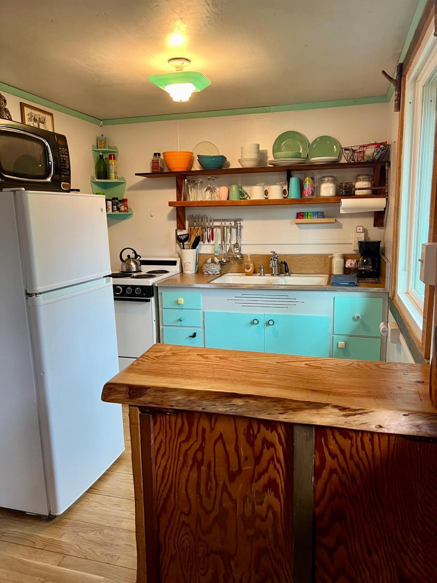 Mt Rainier Little Green Cabin On Big Creek! Ashford Extérieur photo