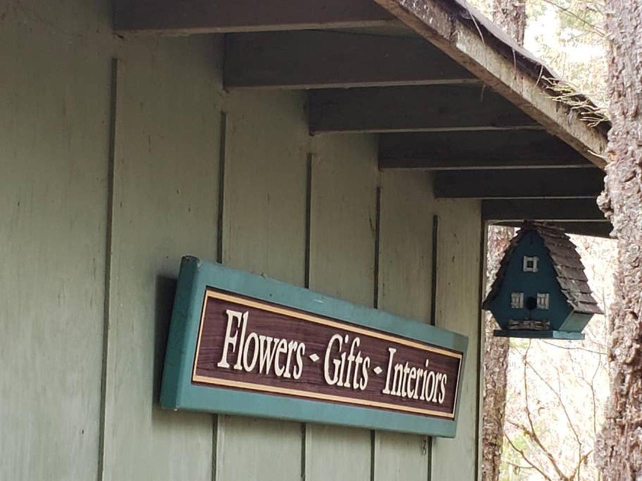Mt Rainier Little Green Cabin On Big Creek! Ashford Extérieur photo